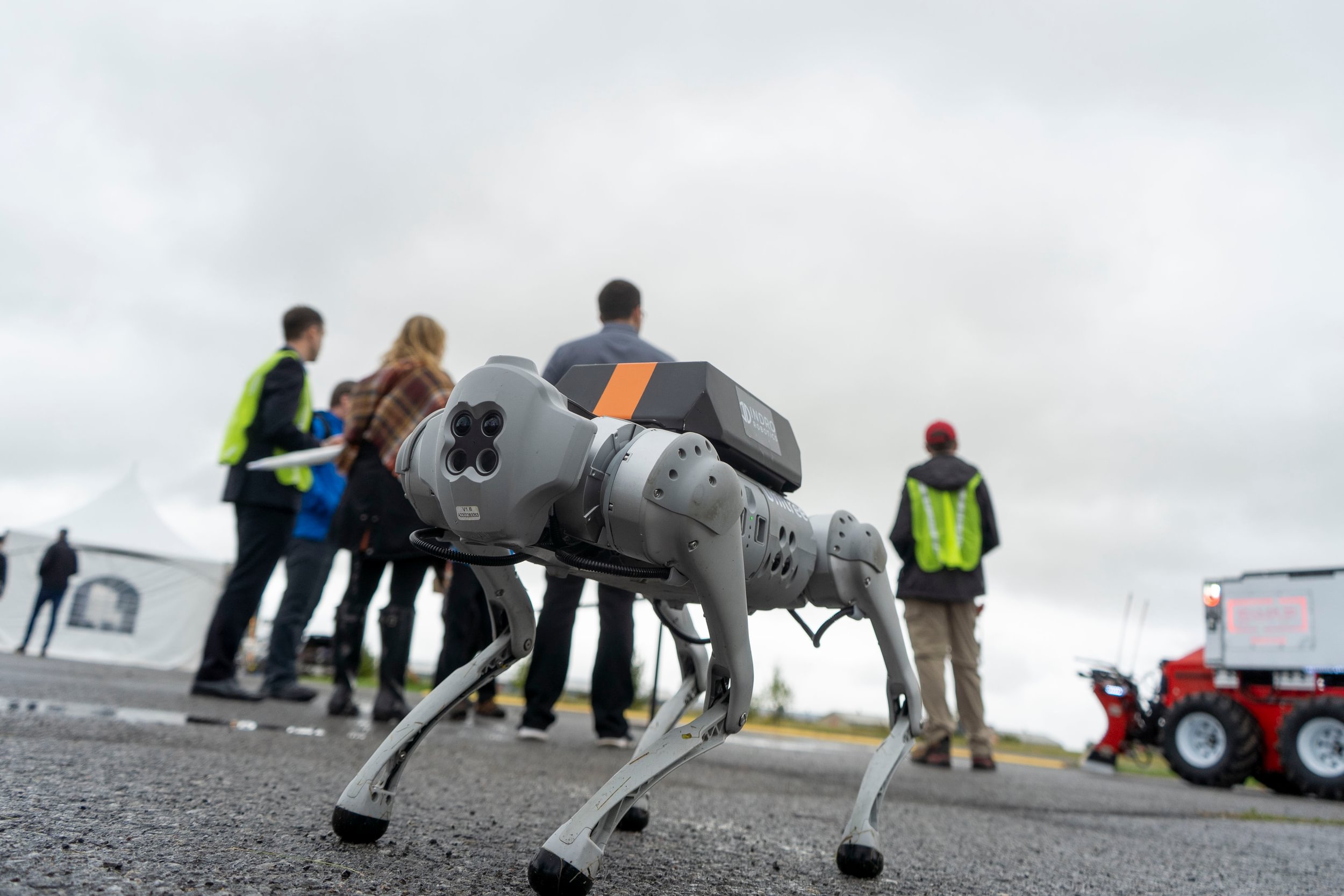 Robot dog at Area X.O